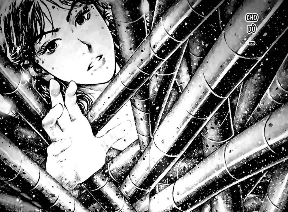 Hỏa Phụng Liêu Nguyên Chapter 391 - Trang 2