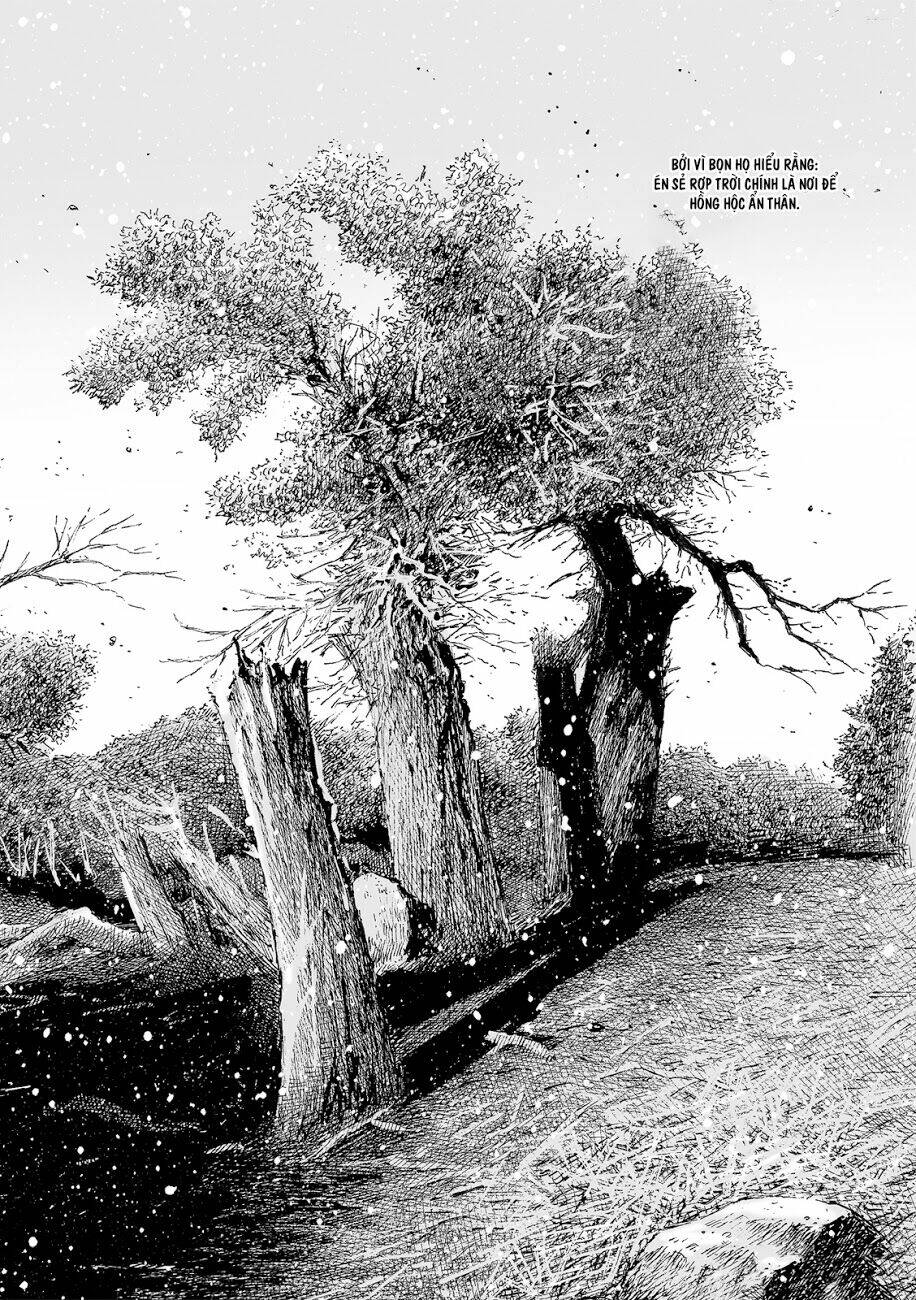 Hỏa Phụng Liêu Nguyên Chapter 529 - Trang 2