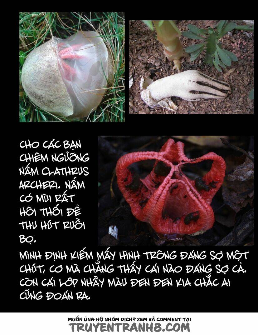 Hoa Quý Chapter 42 - Trang 2