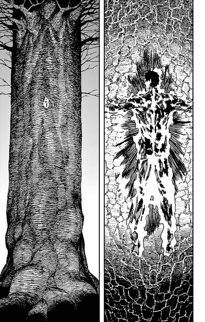 Hoả Quyền Chapter 50 - Trang 2