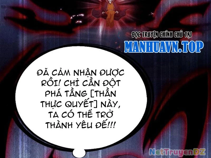 Hoá Ra Ta Đã Vô Địch Từ Lâu Chapter 221 - Trang 2