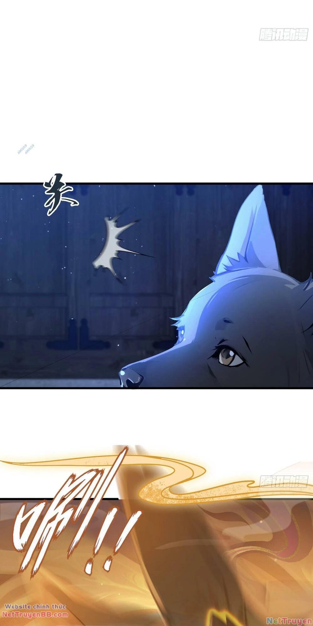 Hoá Ra Ta Đã Vô Địch Từ Lâu Chapter 6 - Trang 2