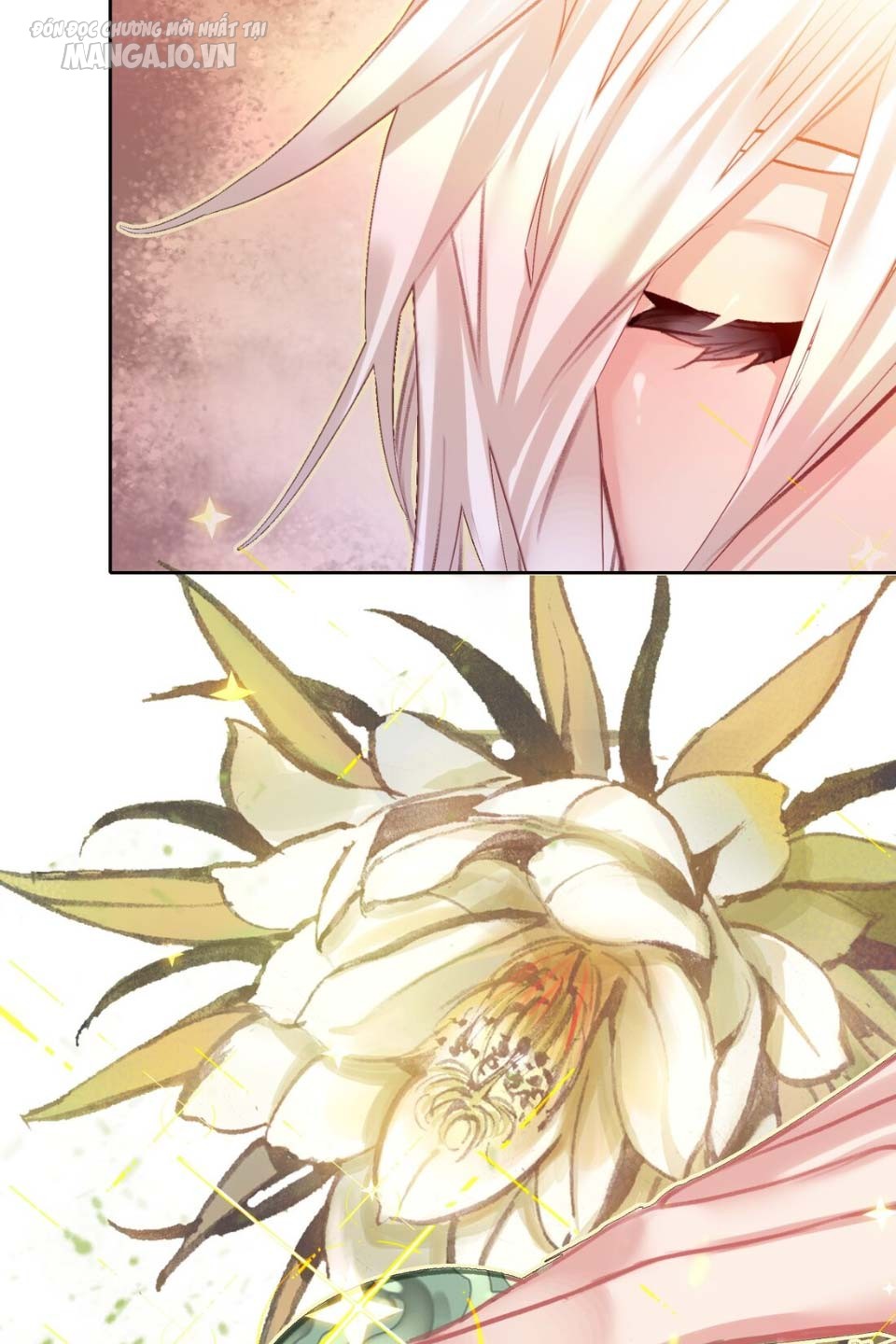 Hóa Ra Ta Là Tuyệt Thế Cao Thủ!! Chapter 2 - Trang 2