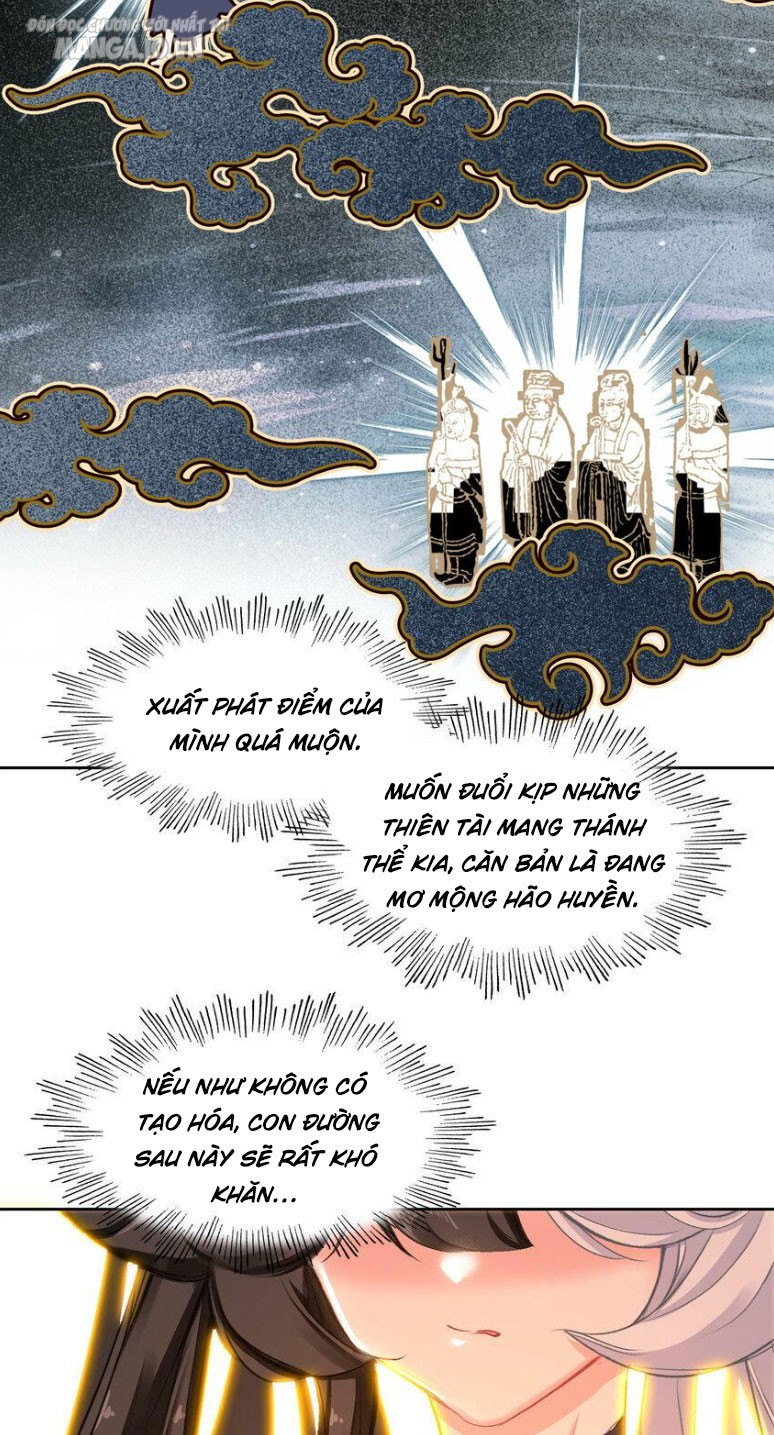 Hóa Ra Ta Là Tuyệt Thế Cao Thủ!! Chapter 29 - Trang 2