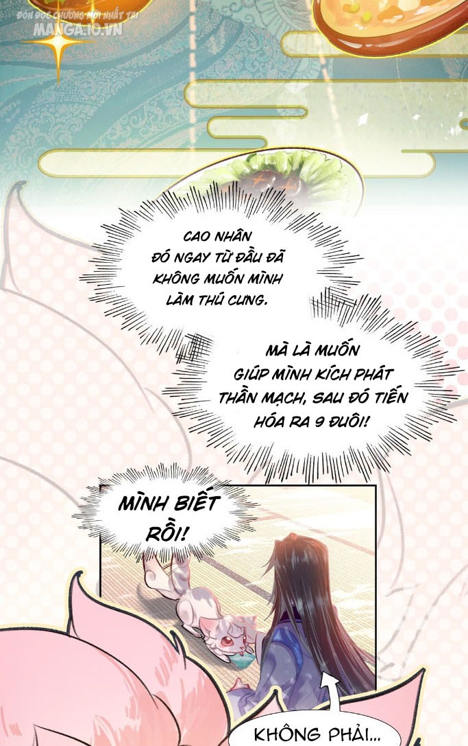 Hóa Ra Ta Là Tuyệt Thế Cao Thủ!! Chapter 9 - Trang 2