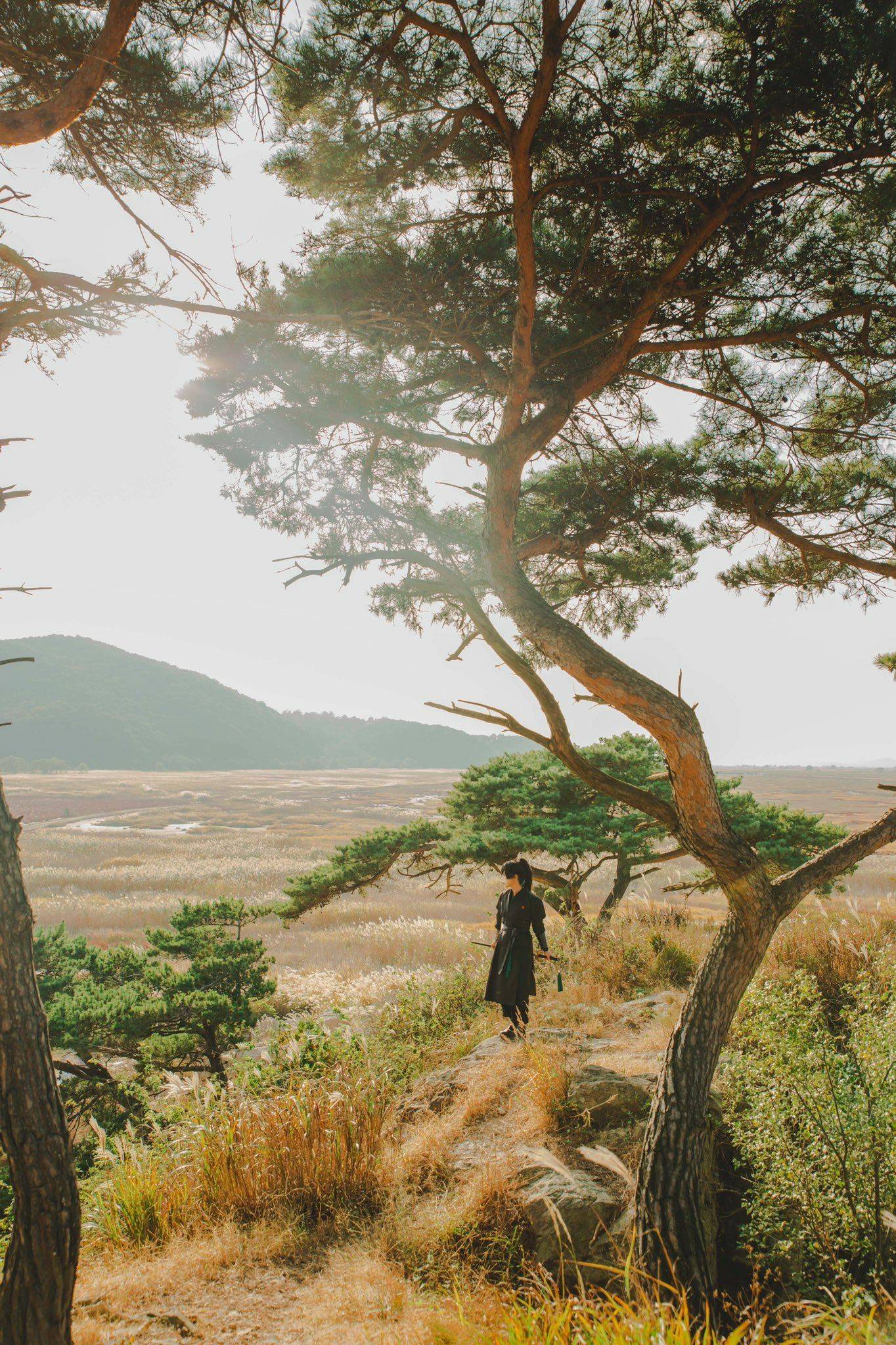 Hoa Sơn Tái Khởi Chapter 51.5 - Trang 2