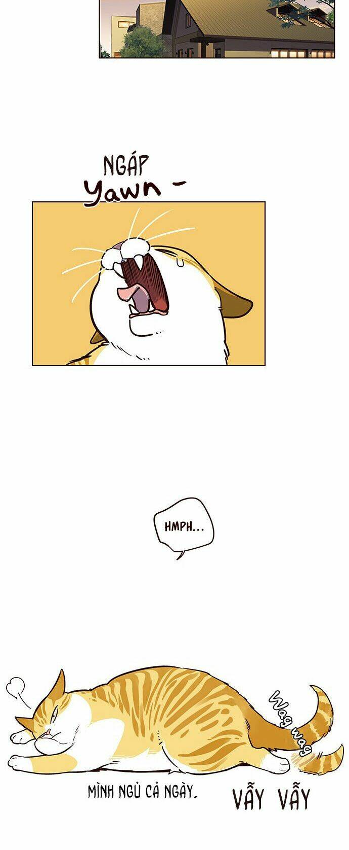 Hoá Thân Thành Mèo – Eleceed Chapter 12 - Trang 2