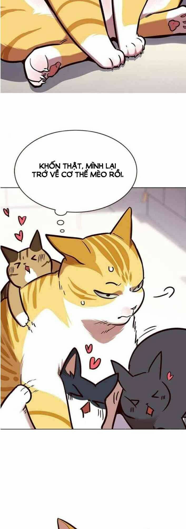 Hoá Thân Thành Mèo – Eleceed Chapter 138 - Trang 2