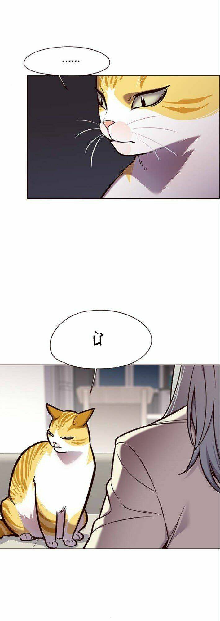 Hoá Thân Thành Mèo – Eleceed Chapter 139 - Trang 2