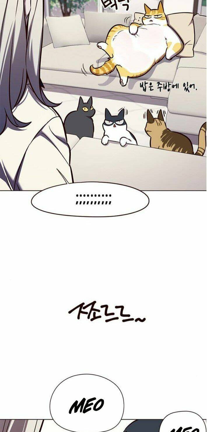 Hoá Thân Thành Mèo – Eleceed Chapter 141 - Trang 2