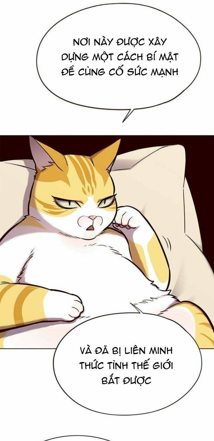 Hoá Thân Thành Mèo – Eleceed Chapter 146 - Trang 2