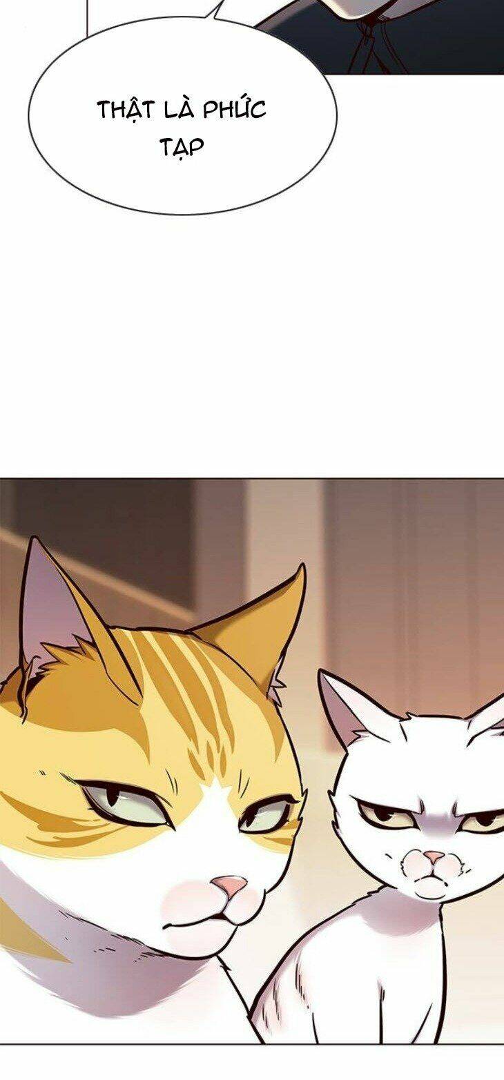 Hoá Thân Thành Mèo – Eleceed Chapter 146 - Trang 2