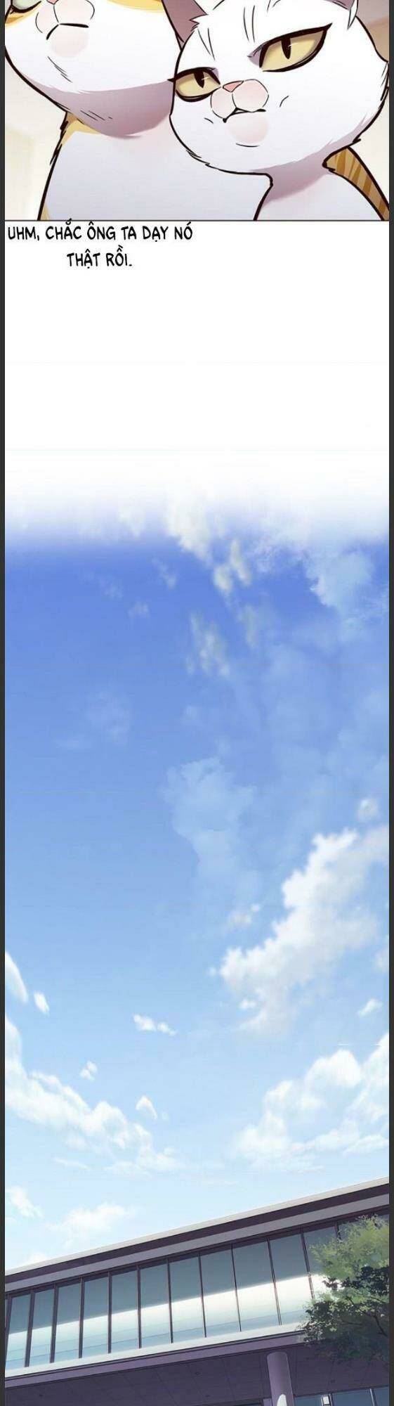 Hoá Thân Thành Mèo – Eleceed Chapter 157 - Trang 2