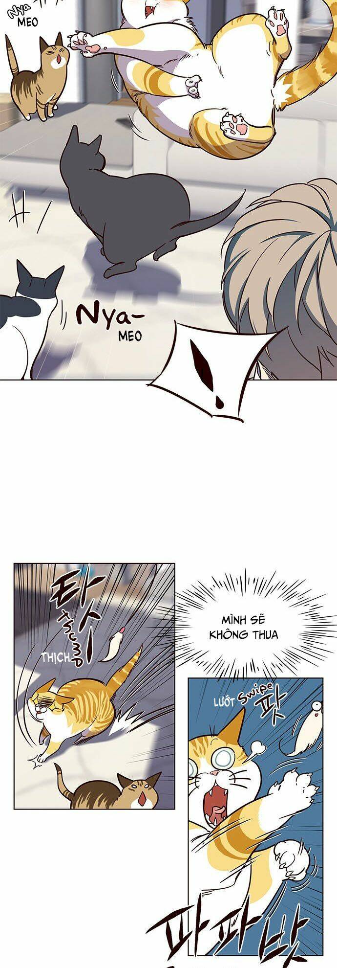 Hoá Thân Thành Mèo – Eleceed Chapter 16 - Trang 2