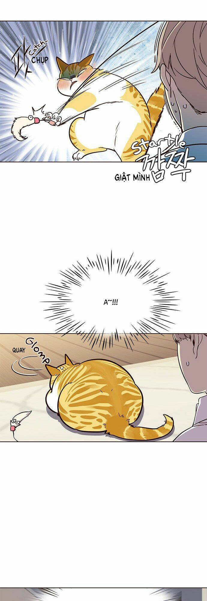 Hoá Thân Thành Mèo – Eleceed Chapter 16 - Trang 2
