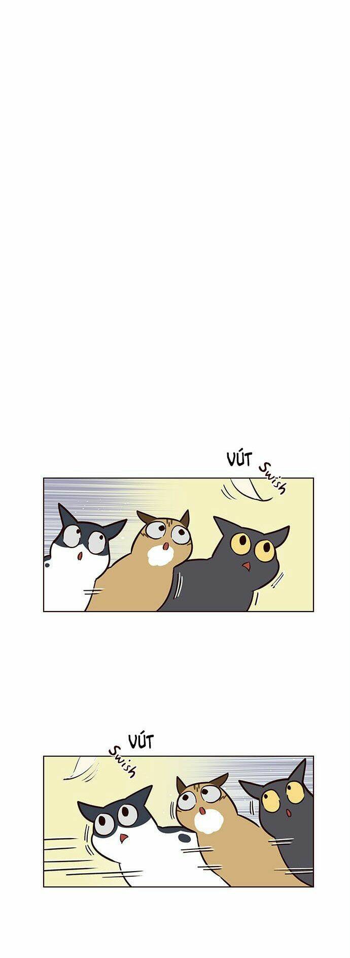 Hoá Thân Thành Mèo – Eleceed Chapter 16 - Trang 2