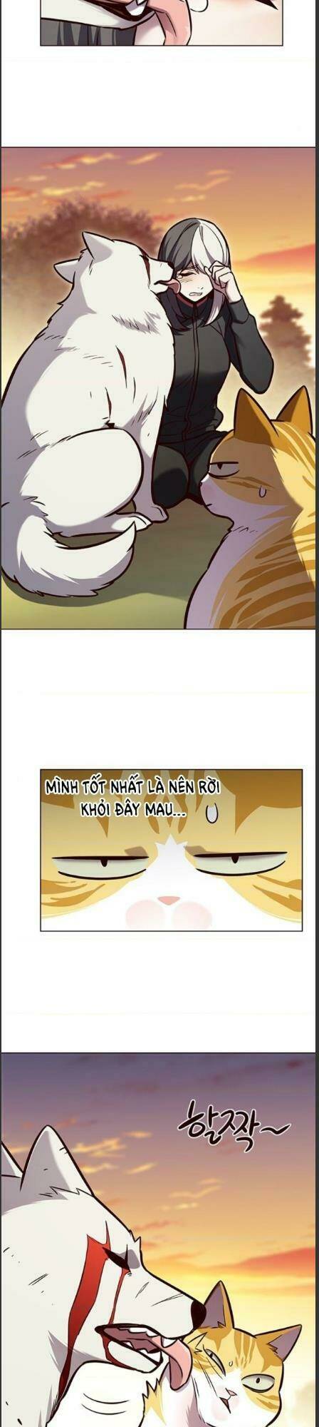 Hoá Thân Thành Mèo – Eleceed Chapter 162 - Trang 2