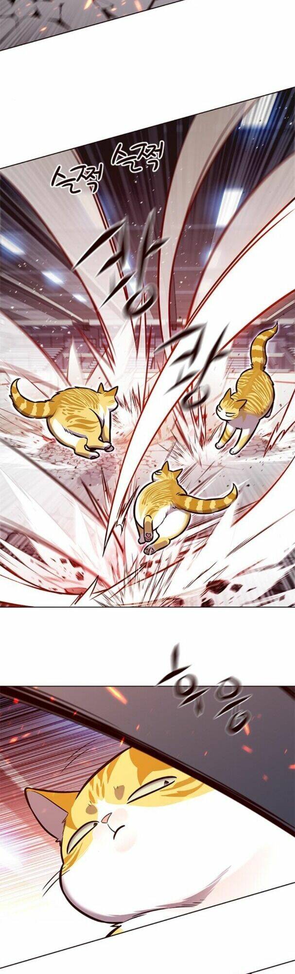 Hoá Thân Thành Mèo – Eleceed Chapter 163 - Trang 2