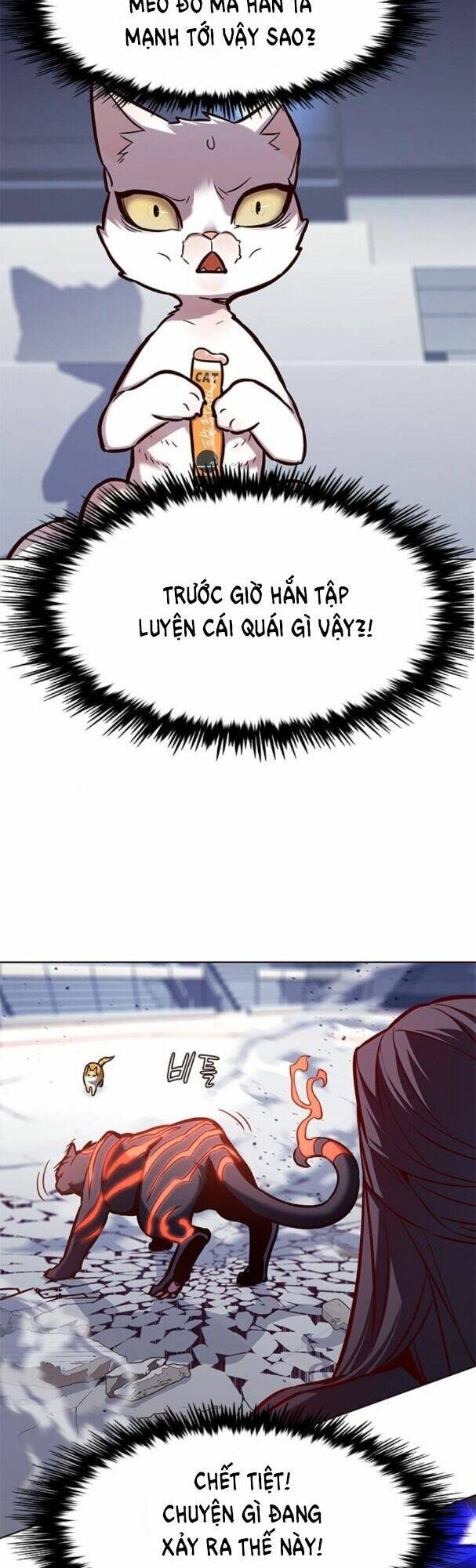 Hoá Thân Thành Mèo – Eleceed Chapter 163 - Trang 2