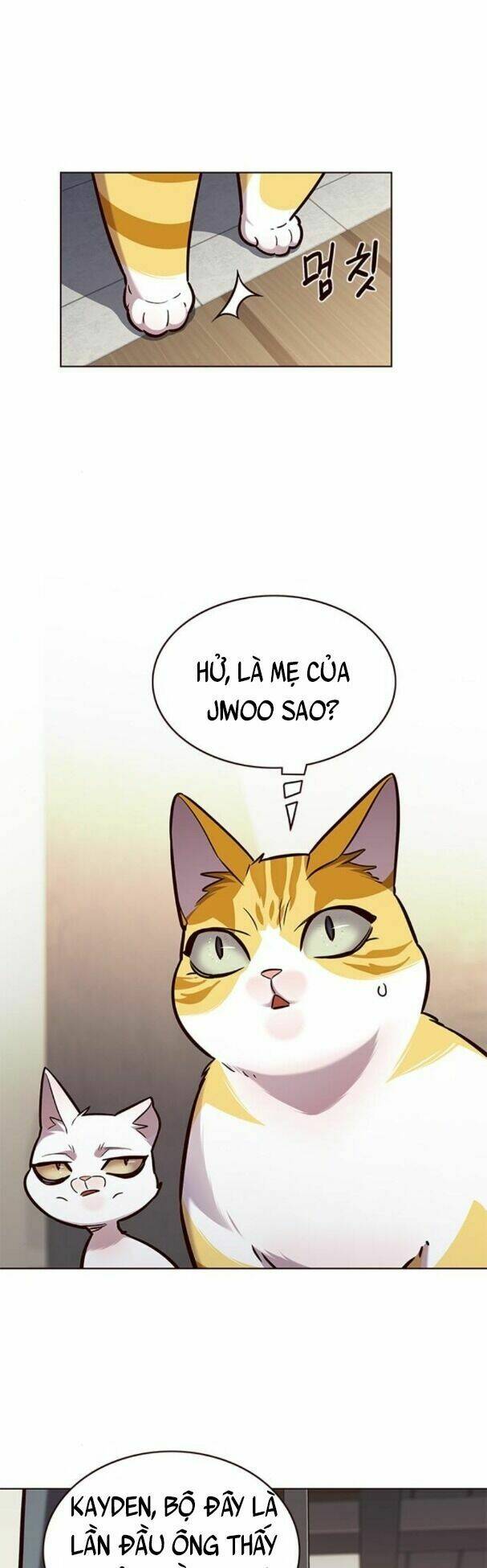 Hoá Thân Thành Mèo – Eleceed Chapter 177 - Trang 2