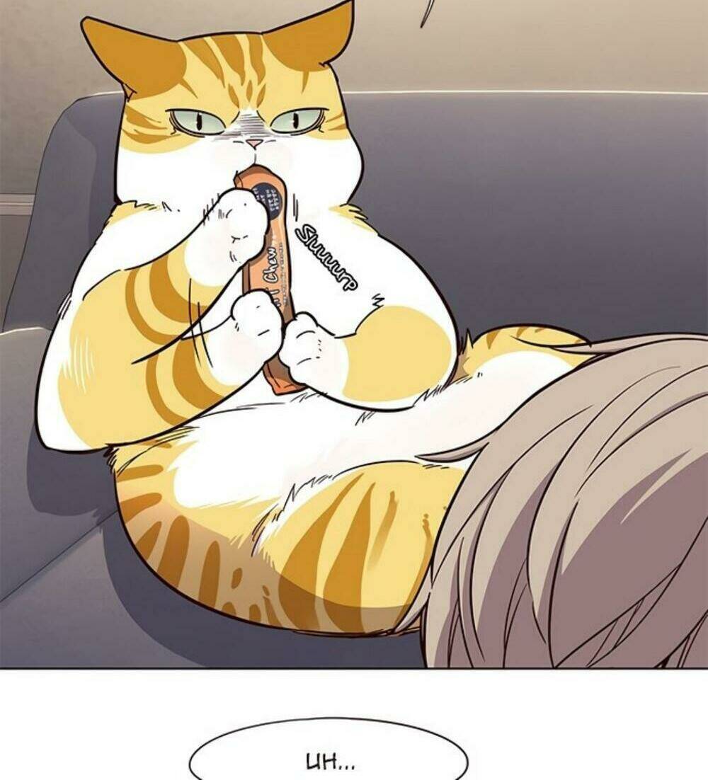 Hoá Thân Thành Mèo – Eleceed Chapter 19 - Trang 2