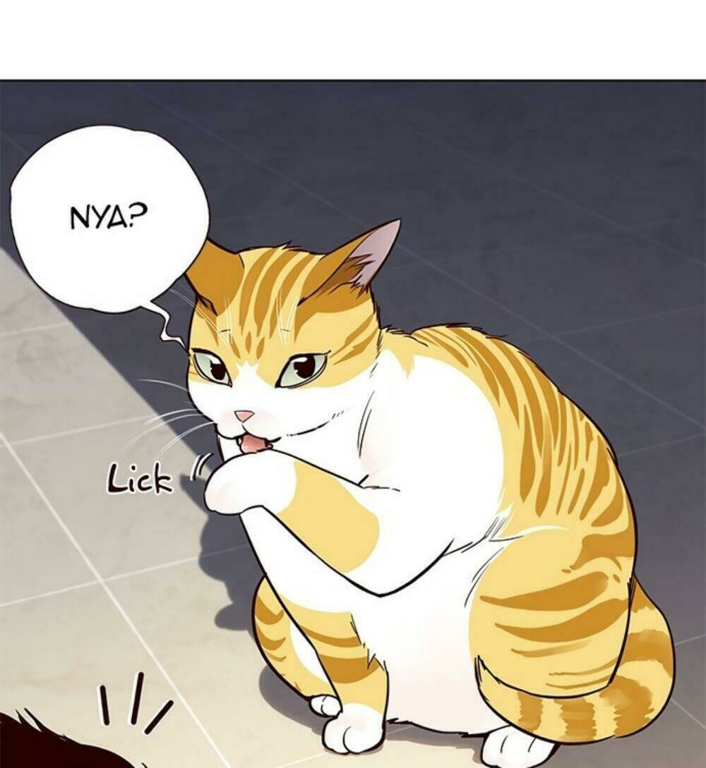 Hoá Thân Thành Mèo – Eleceed Chapter 19 - Trang 2