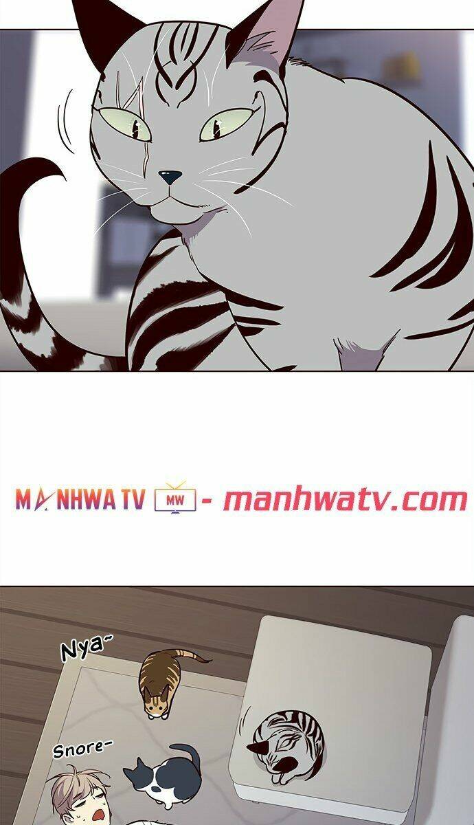 Hoá Thân Thành Mèo – Eleceed Chapter 21 - Trang 2