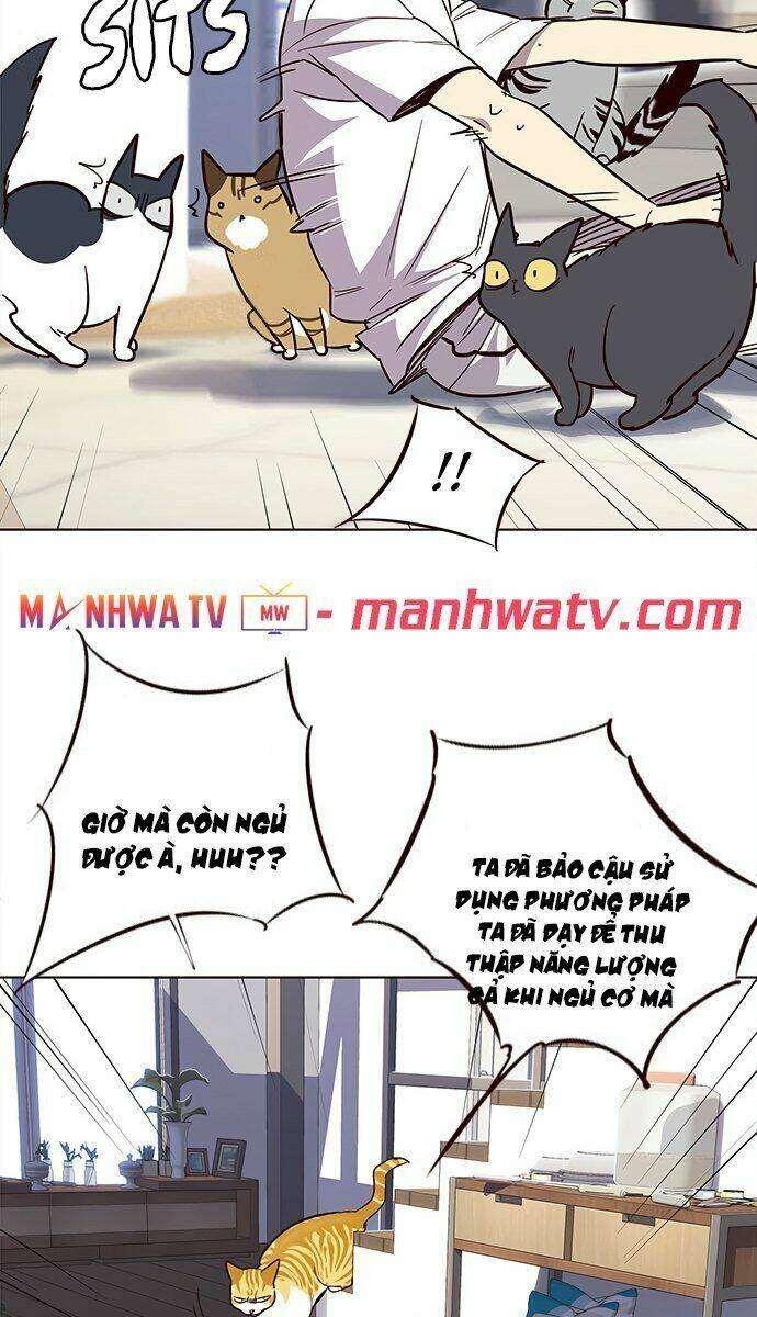 Hoá Thân Thành Mèo – Eleceed Chapter 21 - Trang 2