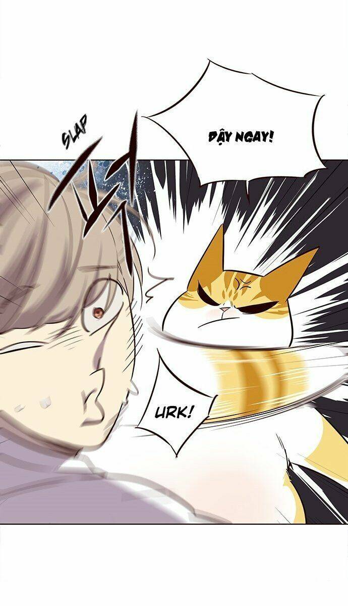 Hoá Thân Thành Mèo – Eleceed Chapter 21 - Trang 2