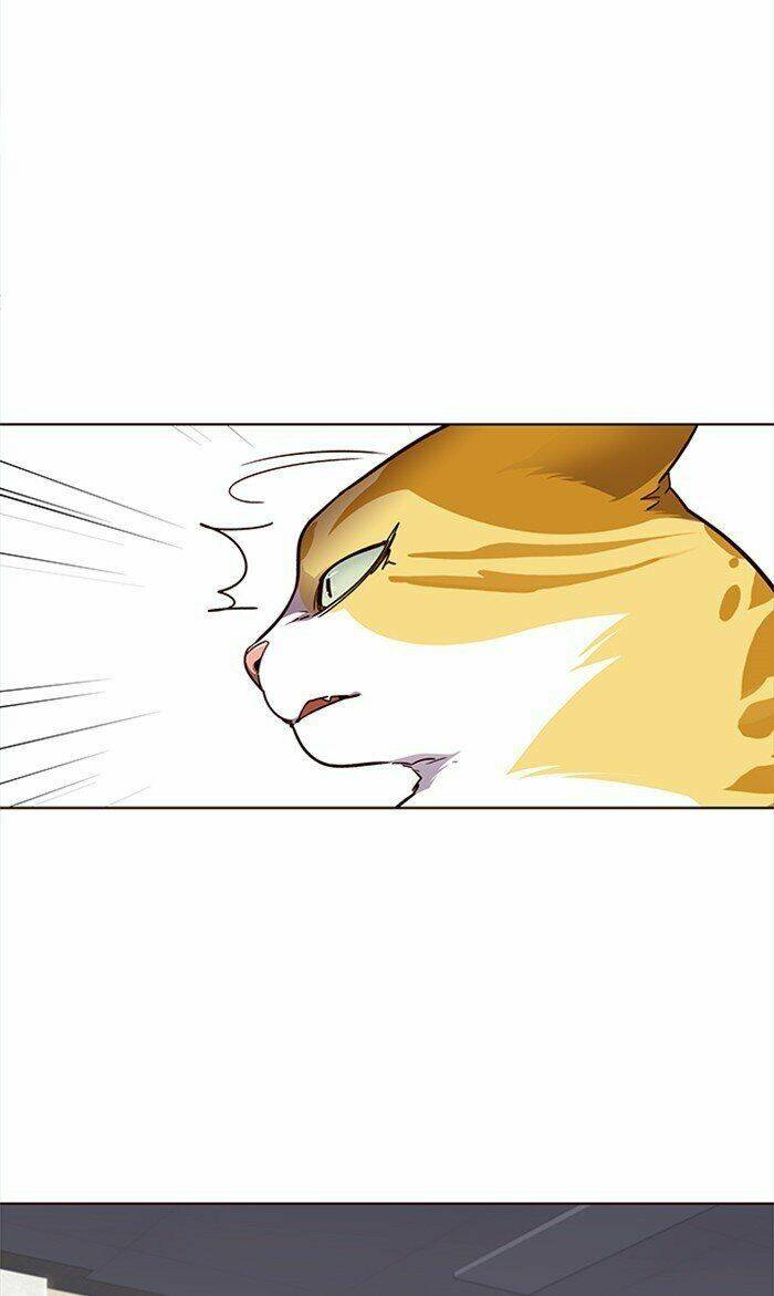 Hoá Thân Thành Mèo – Eleceed Chapter 28 - Trang 2