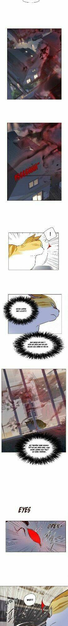 Hoá Thân Thành Mèo – Eleceed Chapter 4 - Trang 2