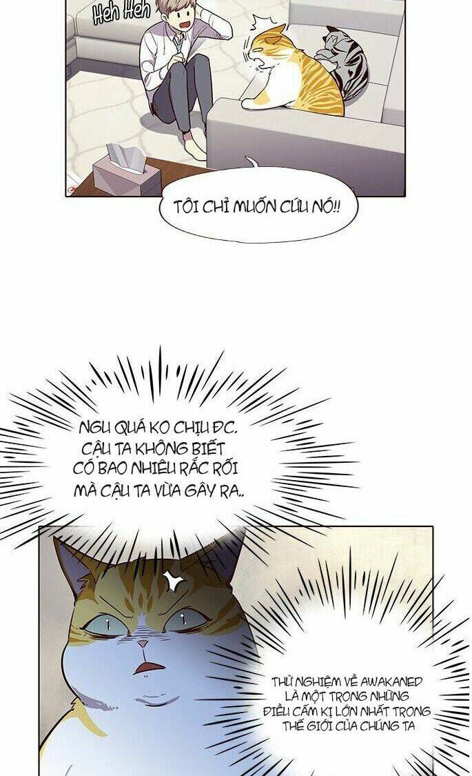 Hoá Thân Thành Mèo – Eleceed Chapter 6 - Trang 2