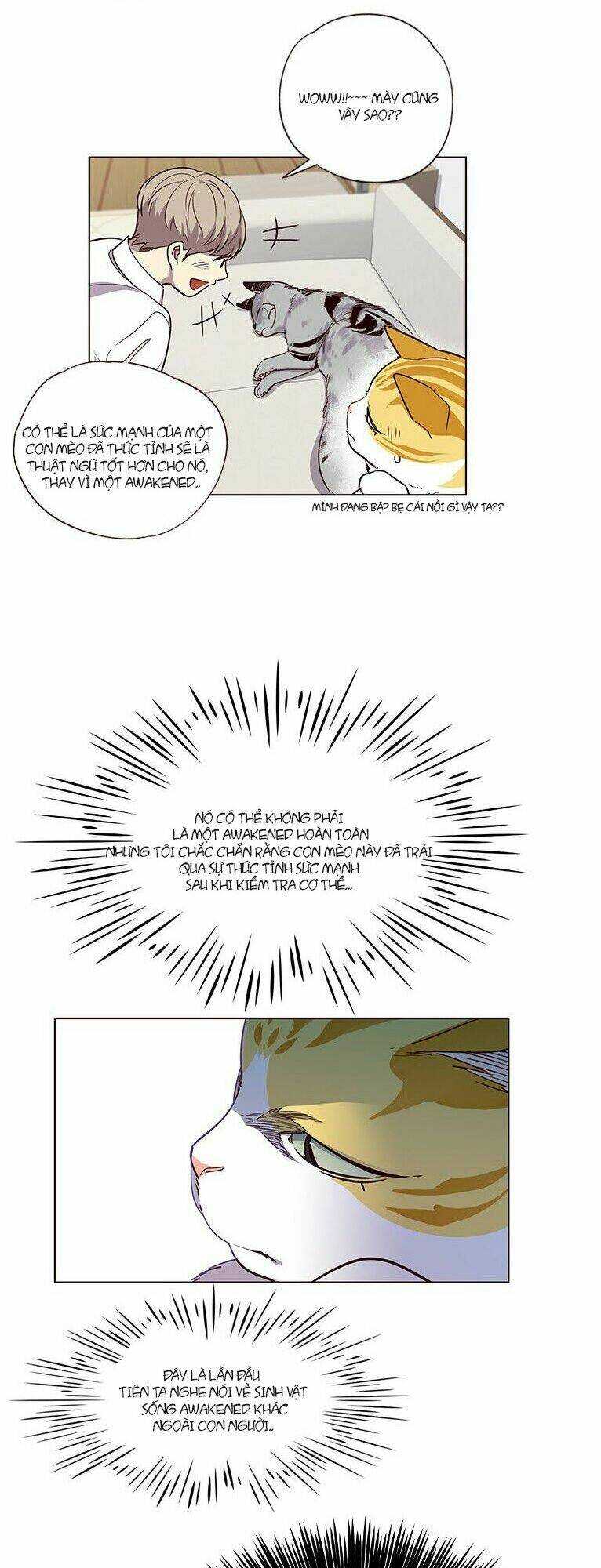 Hoá Thân Thành Mèo – Eleceed Chapter 6 - Trang 2