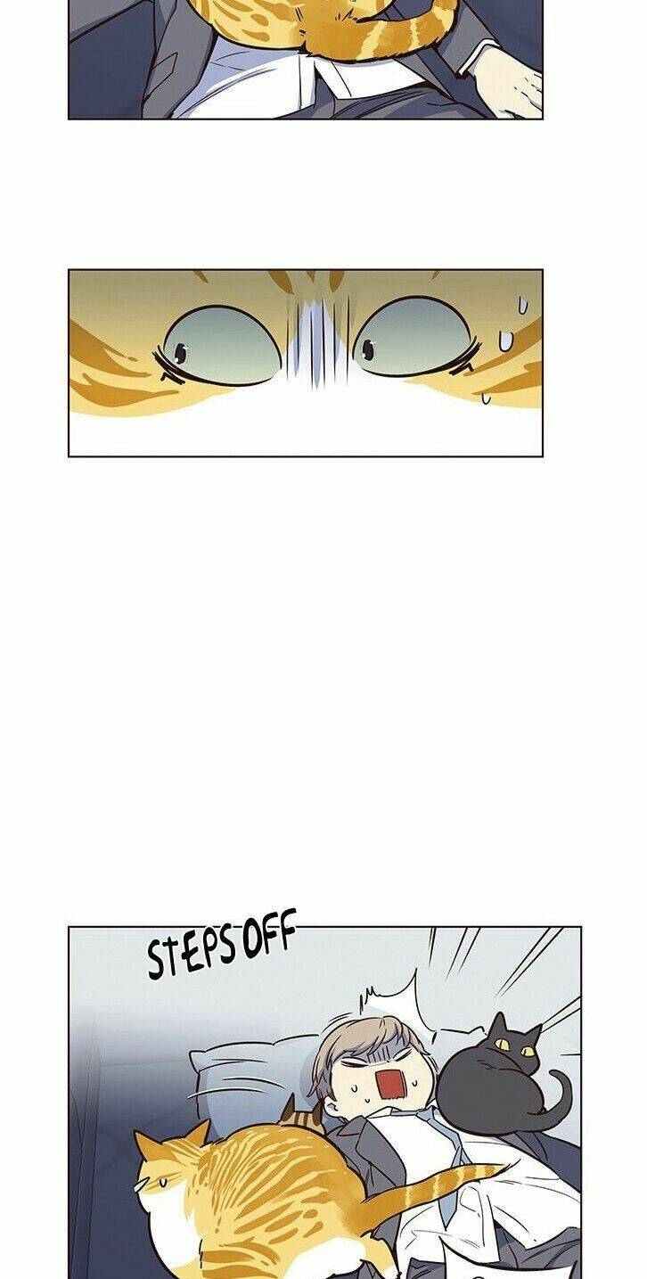 Hoá Thân Thành Mèo – Eleceed Chapter 8 - Trang 2