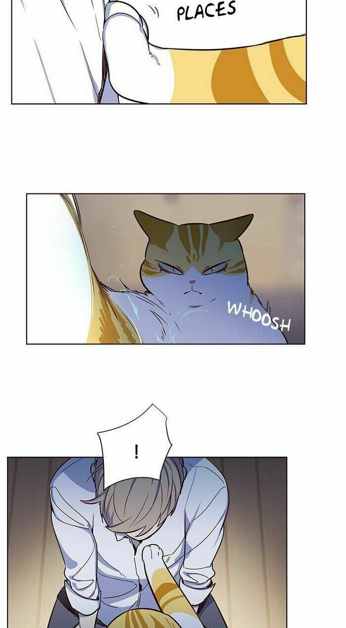 Hoá Thân Thành Mèo – Eleceed Chapter 8 - Trang 2