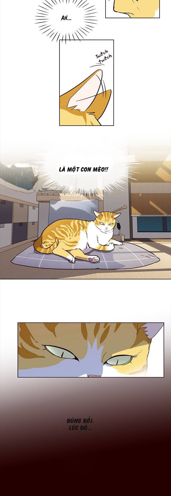 Hoá Thân Thành Mèo Chapter 1 - Trang 2