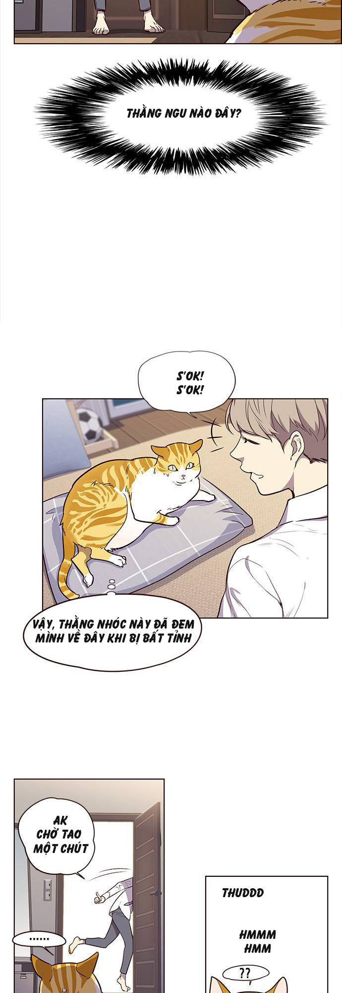 Hoá Thân Thành Mèo Chapter 1 - Trang 2
