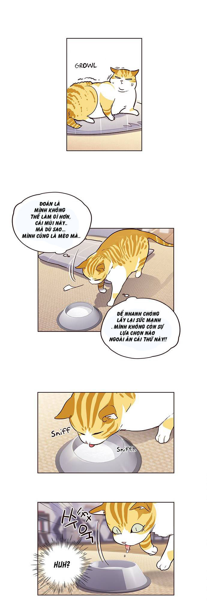 Hoá Thân Thành Mèo Chapter 1 - Trang 2