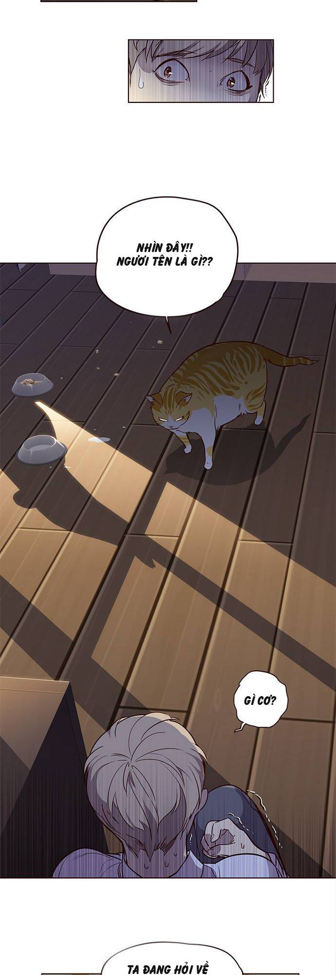 Hoá Thân Thành Mèo Chapter 1 - Trang 2