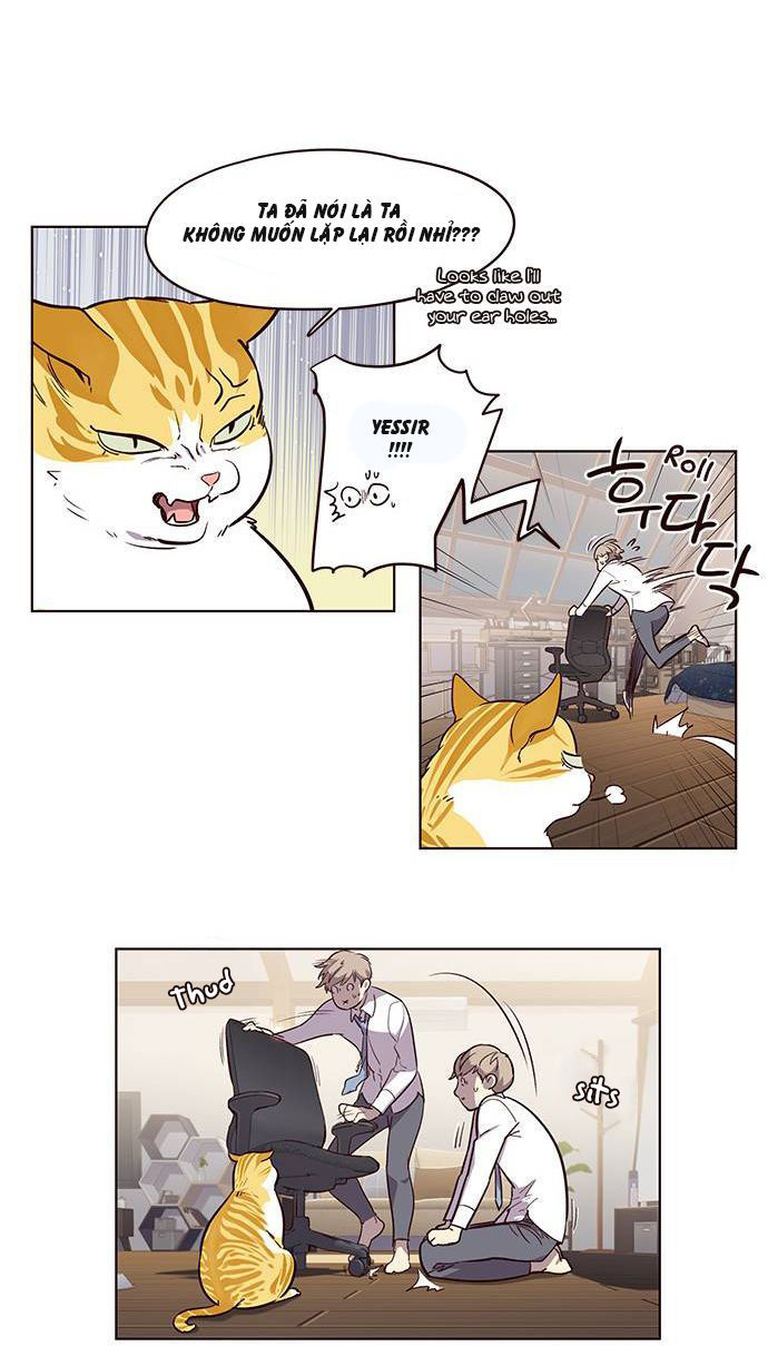 Hoá Thân Thành Mèo Chapter 1 - Trang 2