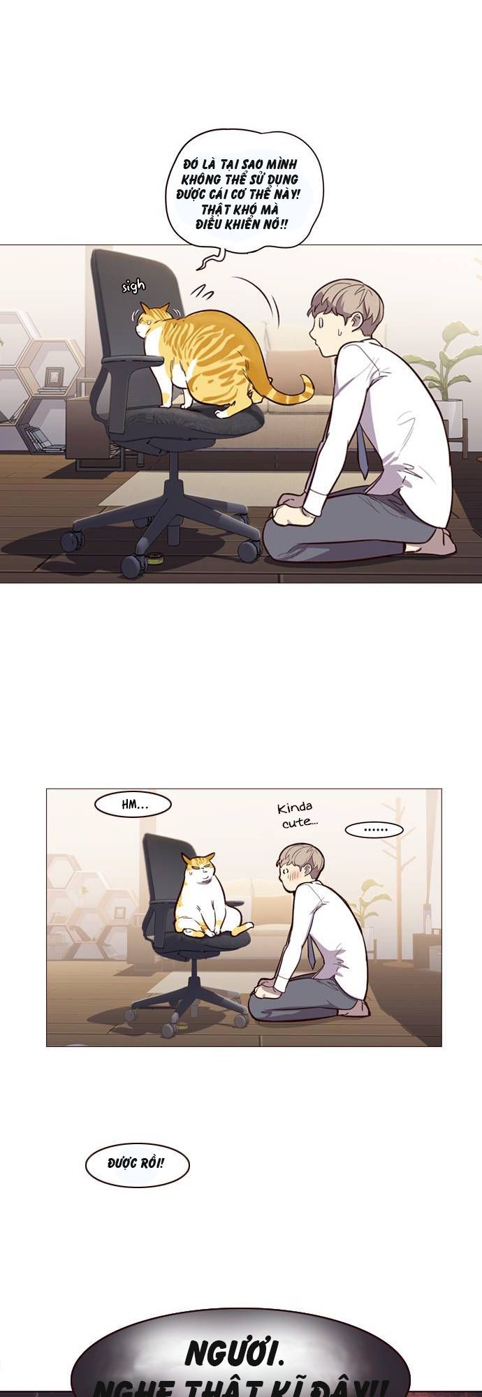 Hoá Thân Thành Mèo Chapter 1 - Trang 2