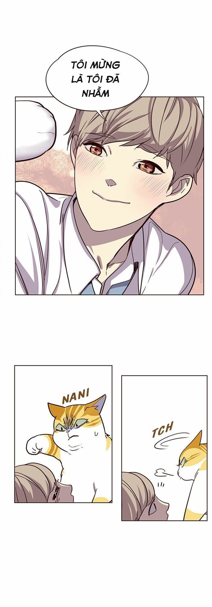 Hoá Thân Thành Mèo Chapter 10 - Trang 2