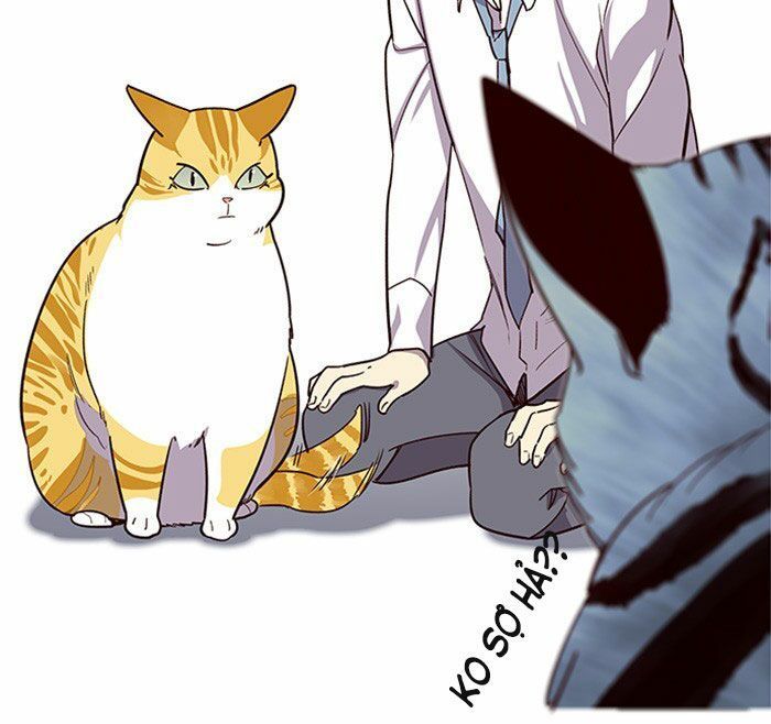 Hoá Thân Thành Mèo Chapter 10 - Trang 2