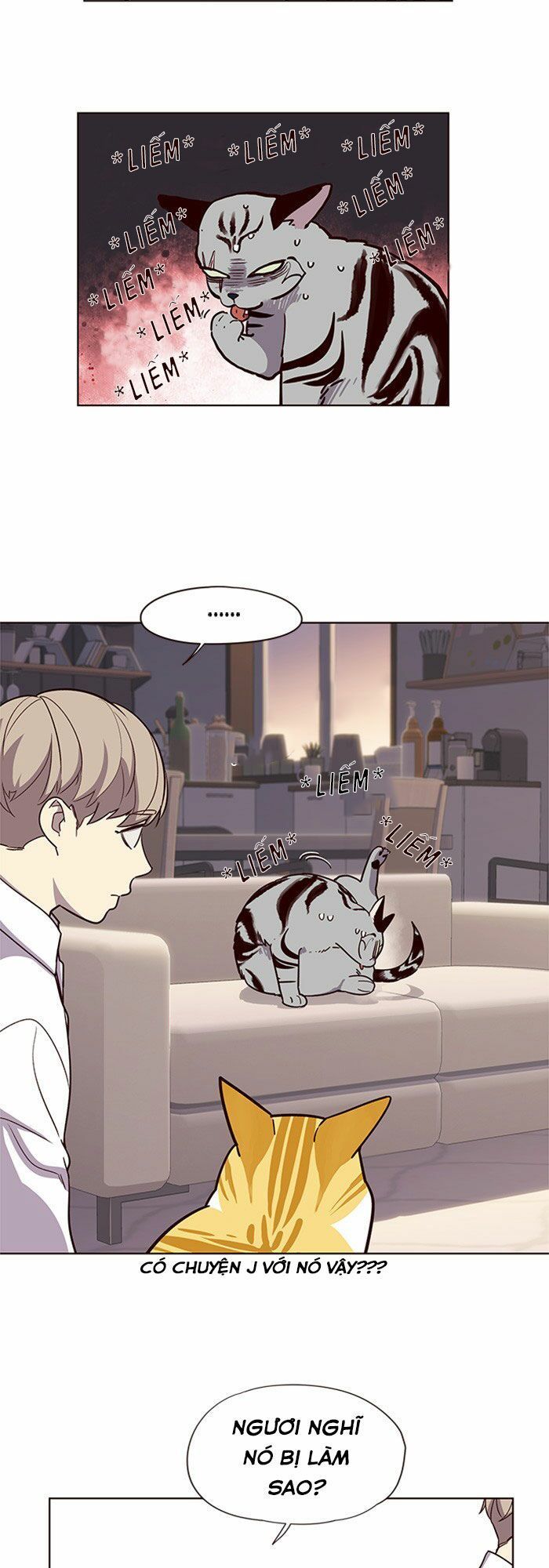 Hoá Thân Thành Mèo Chapter 10 - Trang 2