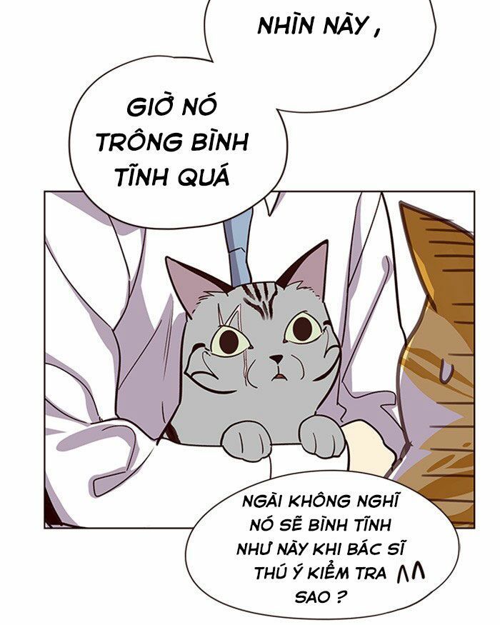 Hoá Thân Thành Mèo Chapter 10 - Trang 2