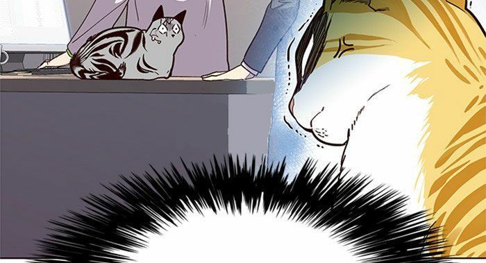 Hoá Thân Thành Mèo Chapter 10 - Trang 2