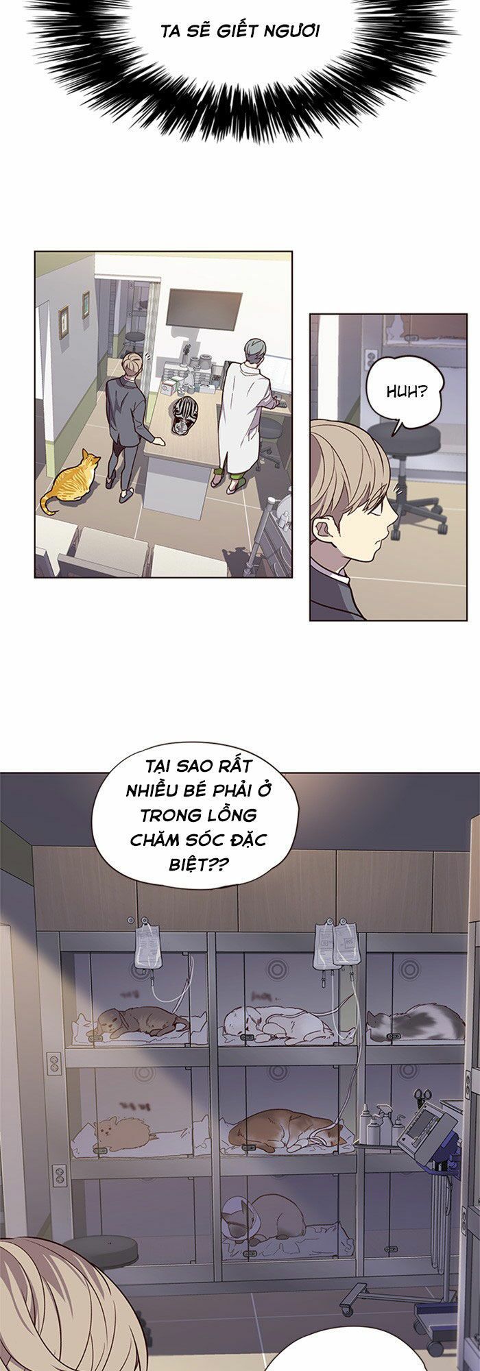 Hoá Thân Thành Mèo Chapter 10 - Trang 2