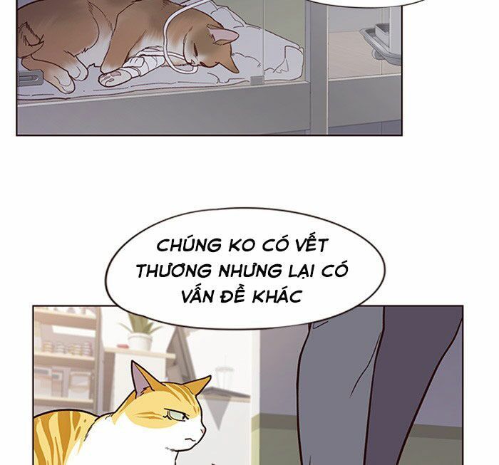 Hoá Thân Thành Mèo Chapter 10 - Trang 2