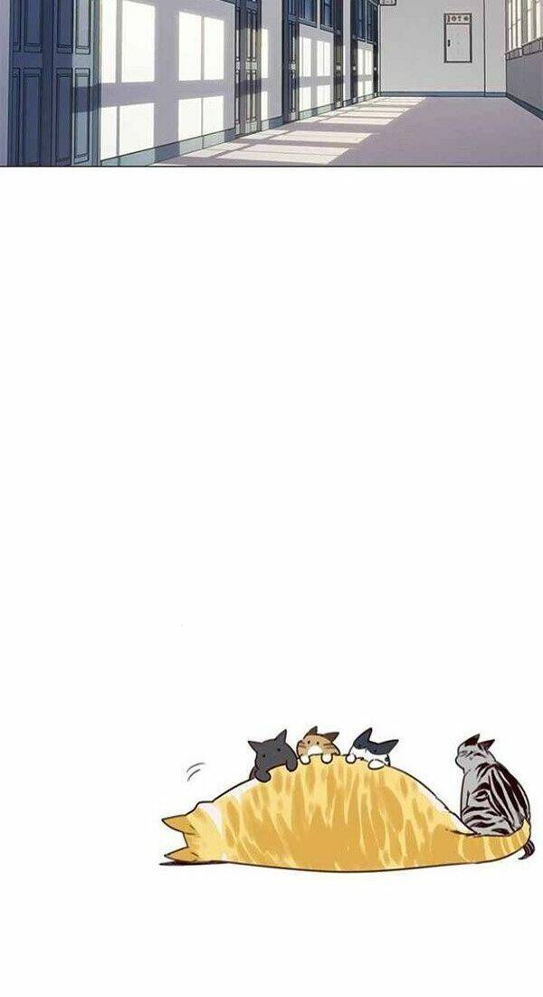 Hoá Thân Thành Mèo Chapter 100 - Trang 2