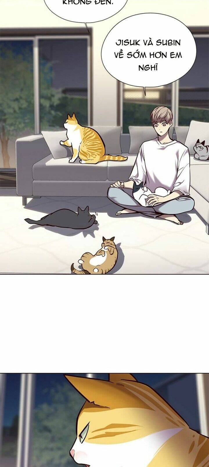 Hoá Thân Thành Mèo Chapter 104 - Trang 2